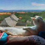 Lo Soulenquo à Fonteilles 3*