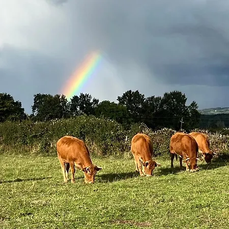 Lo Soulenquo à Fonteilles Couette-café Golinhac