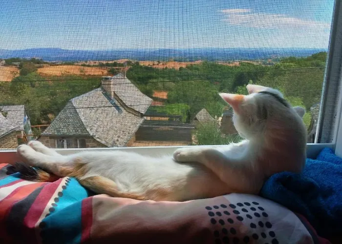 Lo Soulenquo à Fonteilles Sur Le Gr 65 3*