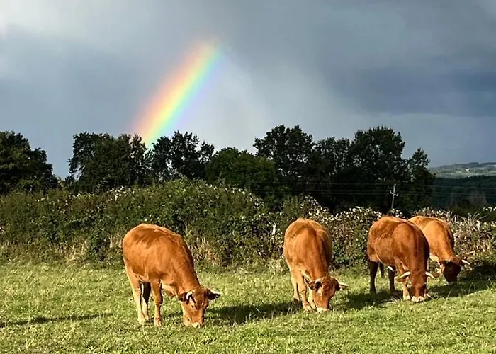 Lo Soulenquo à Fonteilles Couette-café Golinhac