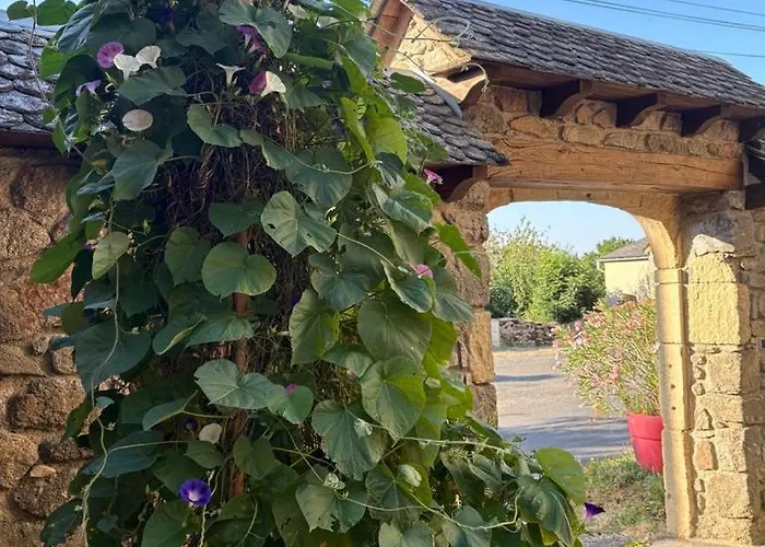 Alojamento de Acomodação e Pequeno-almoço Lo Soulenquo à Fonteilles Sur Le Gr 65 Golinhac