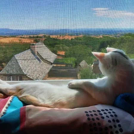 Lo Soulenquo A Fonteilles Sur Le Gr 65 3*