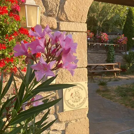 לינה וארוחת בוקר Lo Soulenquo A Fonteilles Sur Le Gr 65 3*