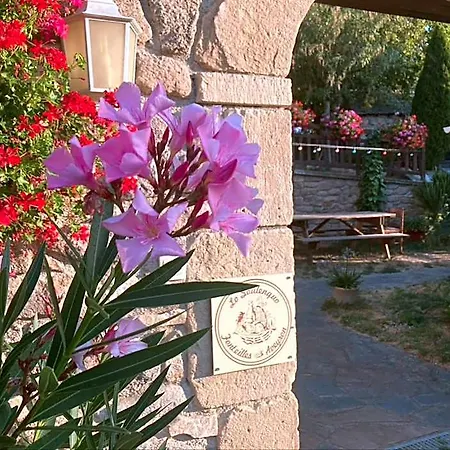 Lo Soulenquo A Fonteilles Sur Le Gr 65 לינה וארוחת בוקר 3*